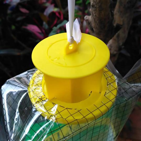 Safe Non-toxic Flies Away Traps - 1 