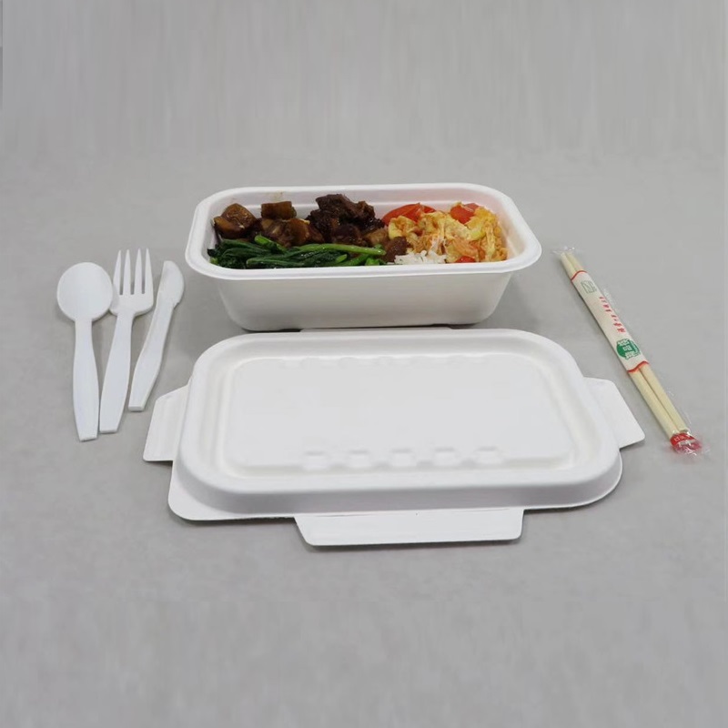 1000 ML Bagasse Food Container