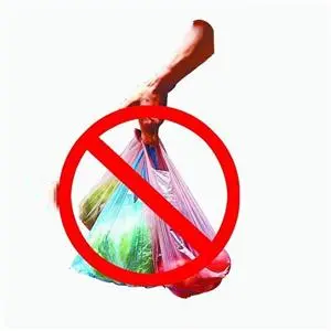 hainan province banned plastic