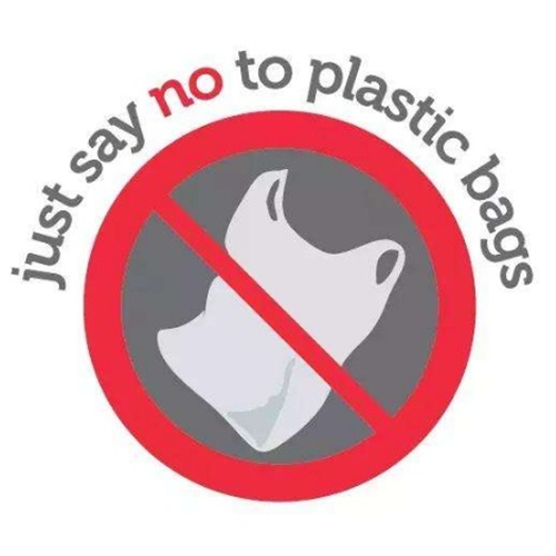 Chile officially bans plastic legislation
