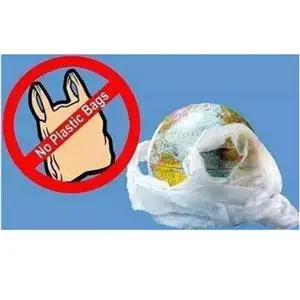 Hainan to ban disposable plastic bags, tableware by 2020