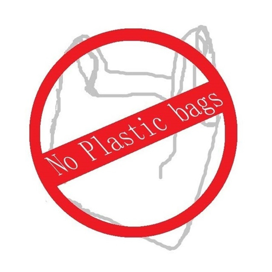 Coronavirus postpones enforcement of New York's plastic bag ban