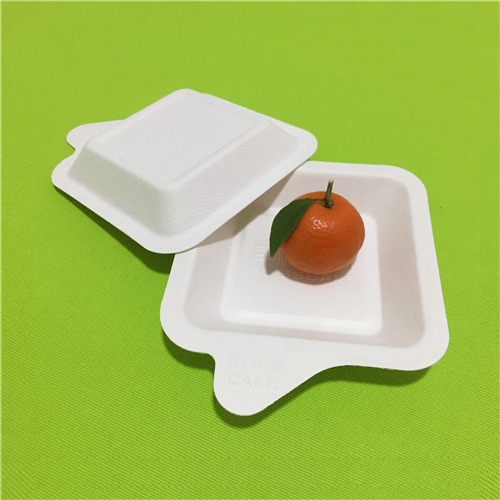 biodegradable sugarcane pulp cake tray plate
