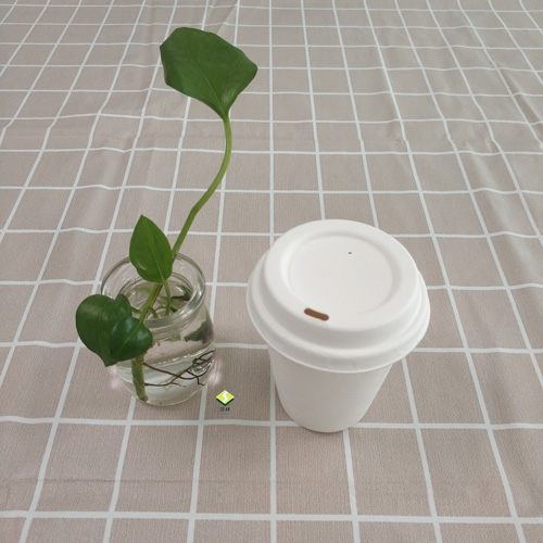 biodegradable sugarcane pulp cup and lid