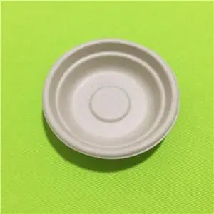 biodegradable sugarcane pulp portion plate