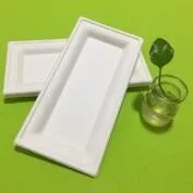 biodegradable sugarcane pulp rectangle plate