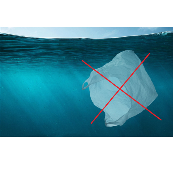 South Korea bans single-use plastic bags