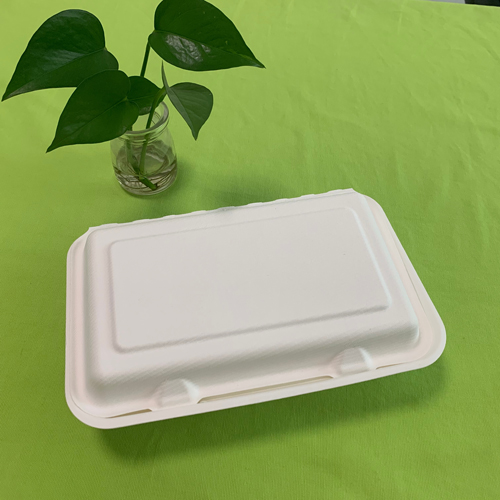new bagasse food container