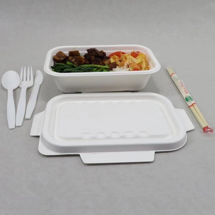 Shenglin Packaging's Bagasse Tableware Case Sharing Conference