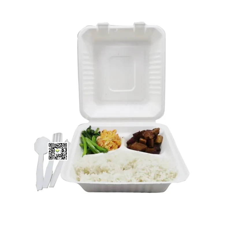 Cukrová třtina bagasse to go box je ve výrobě