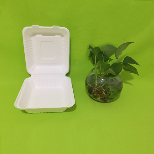 Sugarcane bagasse tableware are packed and ready to be shipped