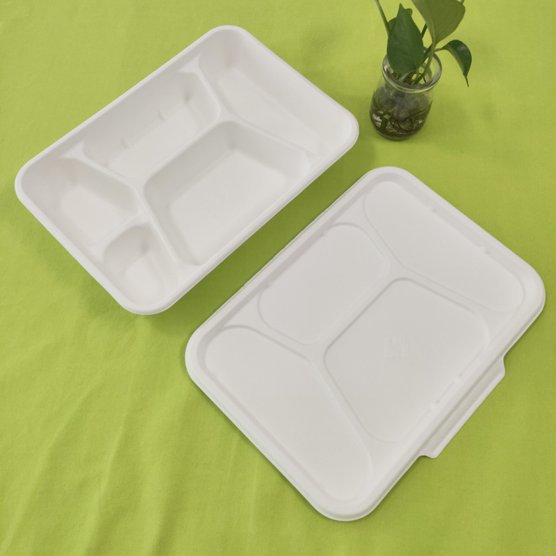 bagasse 5 compartment tray with lid