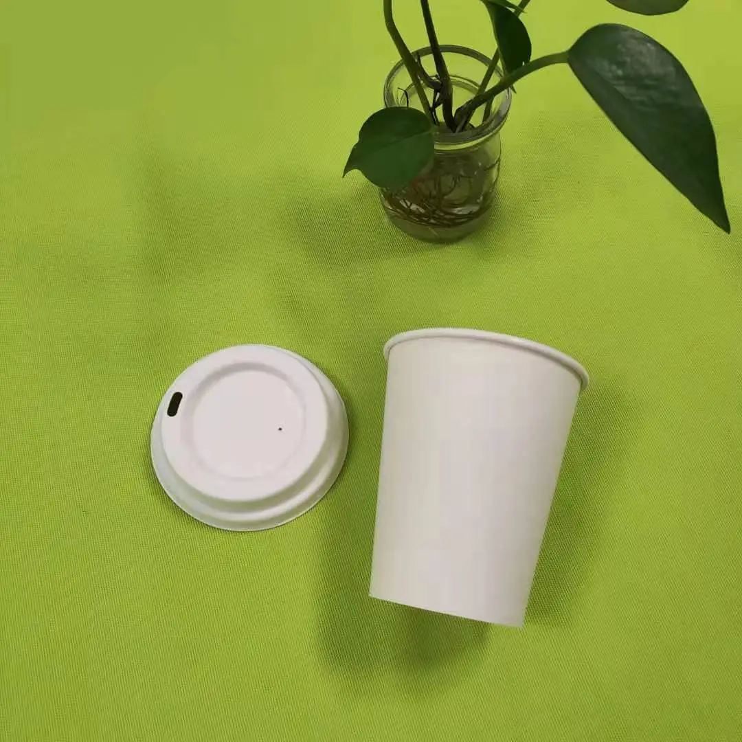 more information about bagasse pulp tableware