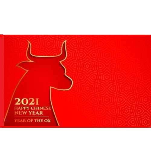 2021 Chinese New Year Holiday Notice