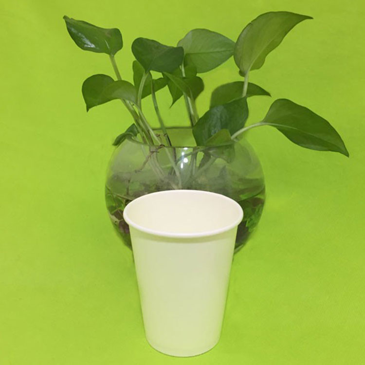 What are the uses of disposable paper cups, do you want to know