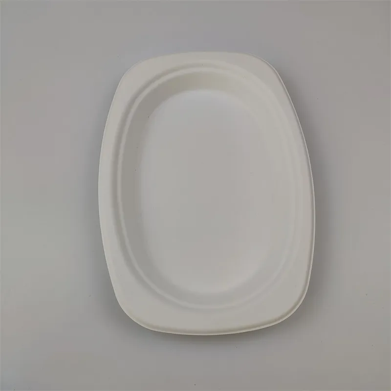 bagasse Oval Plate 9'' x 6''