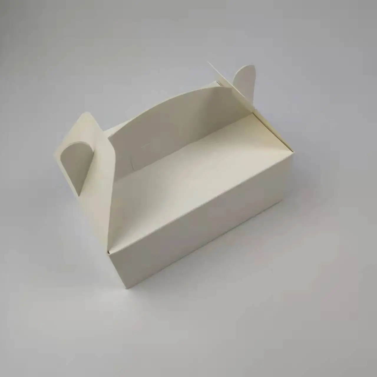 Paper takeaway boxes