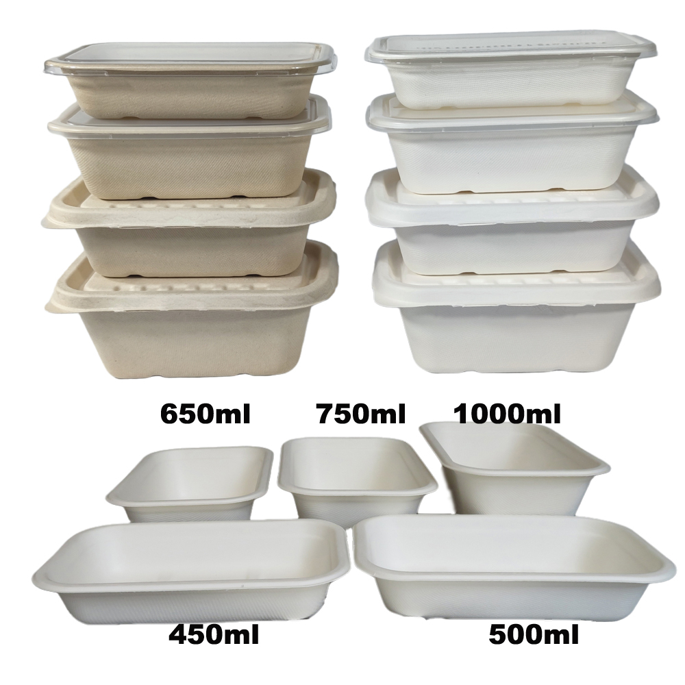 Rectangular bagasse long containers