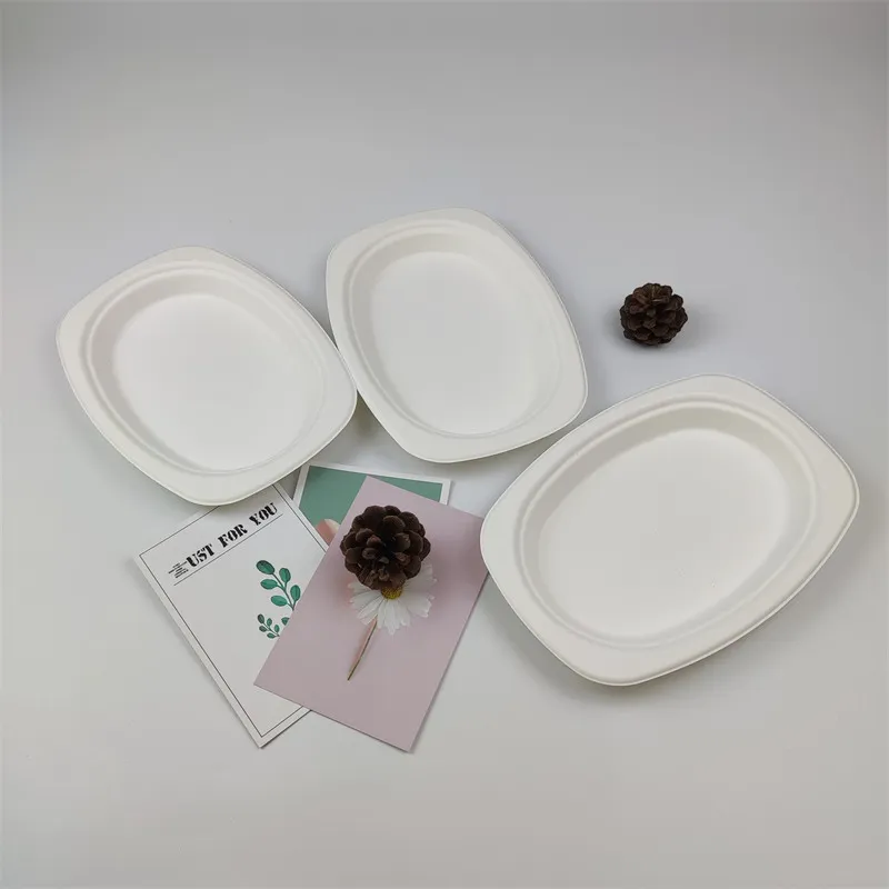 Výhody produktů Bagasse Pulp Products