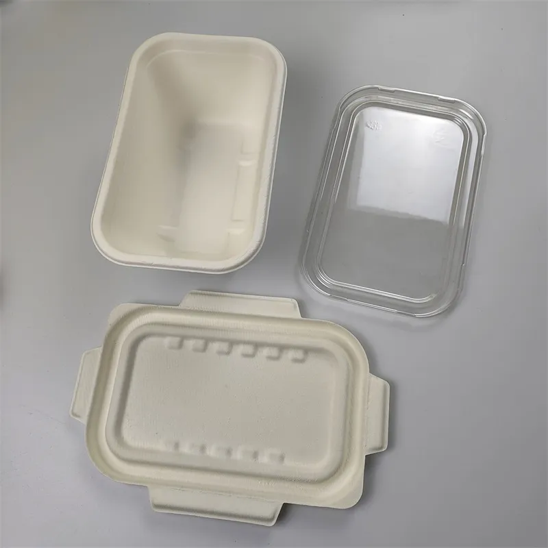 1000 ml laukizuzena Bagasse Ontzia