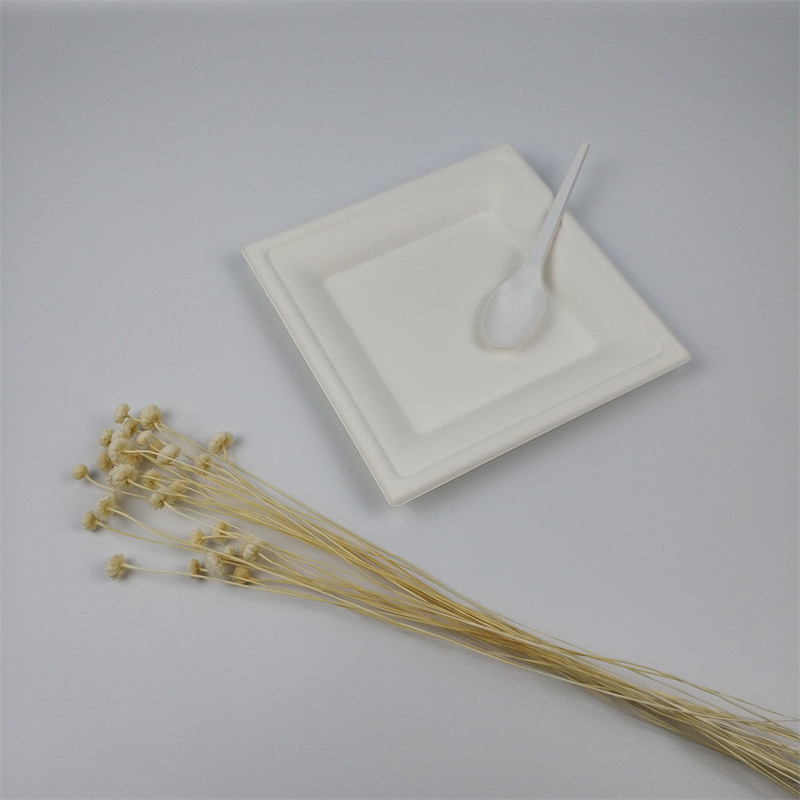 6 inch square bagasse plates