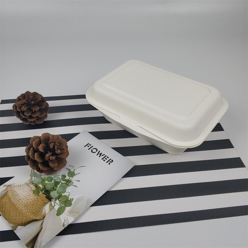 600-650ml Biodegradable Disposable Sugarcane Bagasse Lunch Box