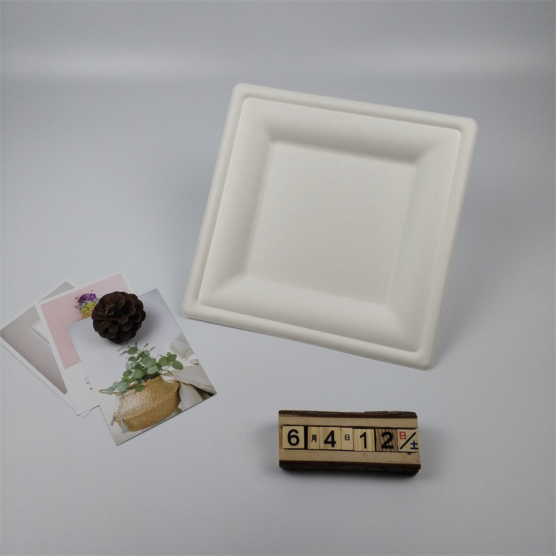 8 inch bagasse square plate