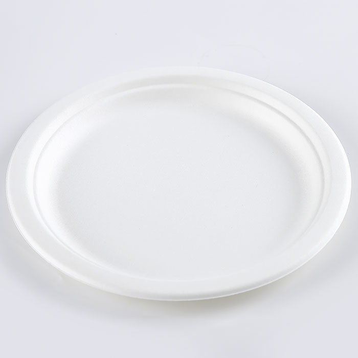 9 inch bagasse plate