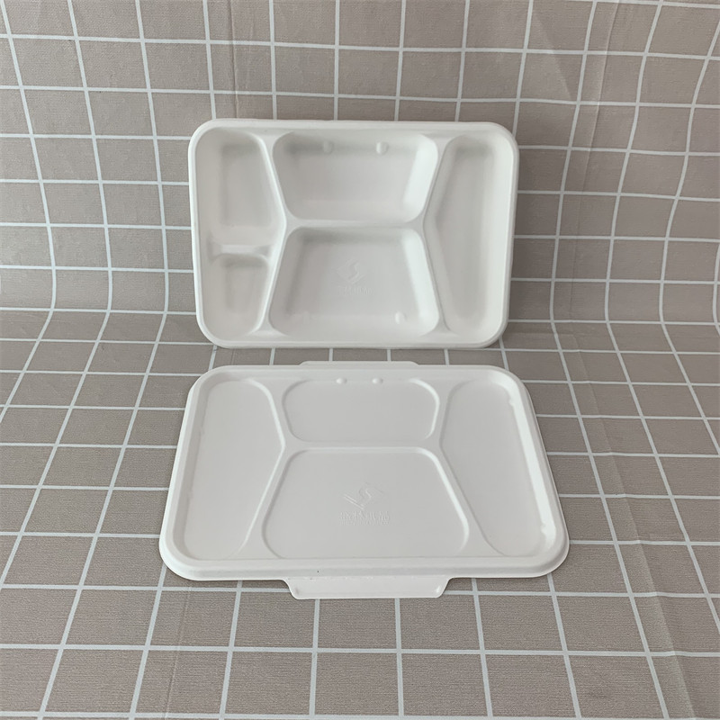 bagasse 5 compartment tray with lid