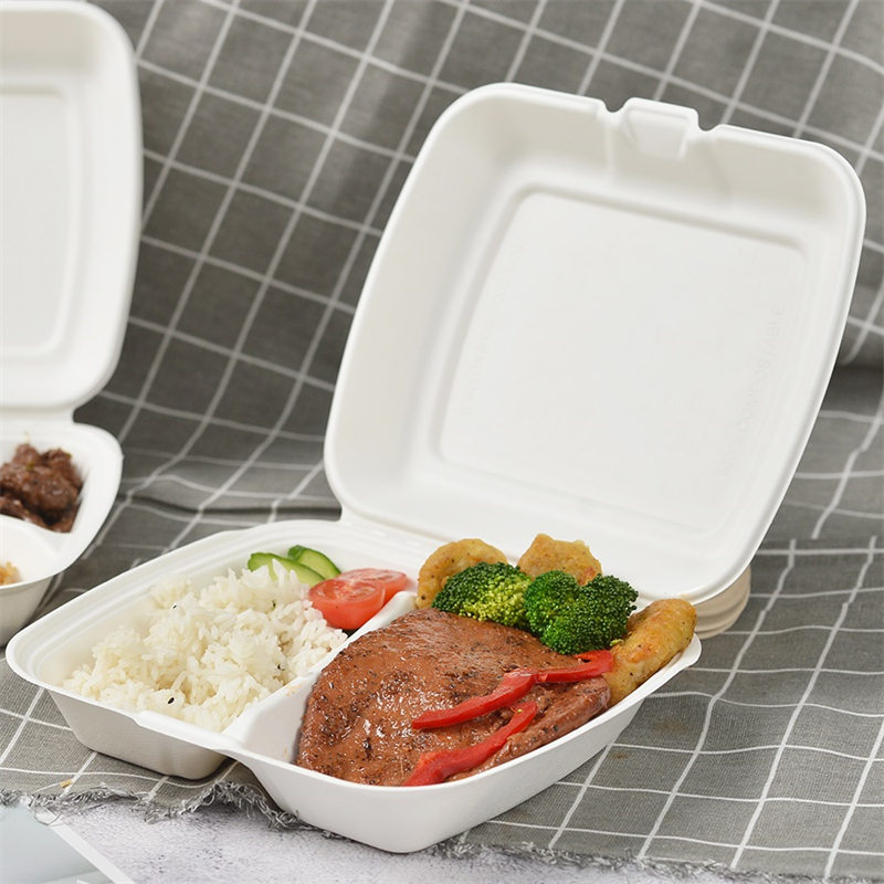 Bagasse 9 inch 2 compartment takeaway box