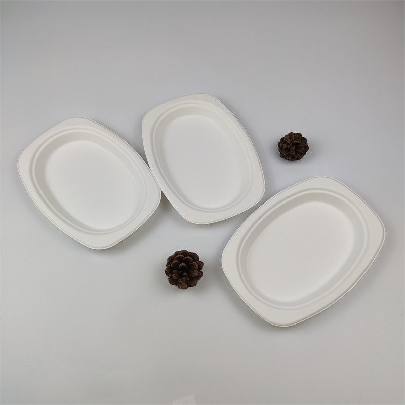 bagasse Oval Plate 9'' x 6''
