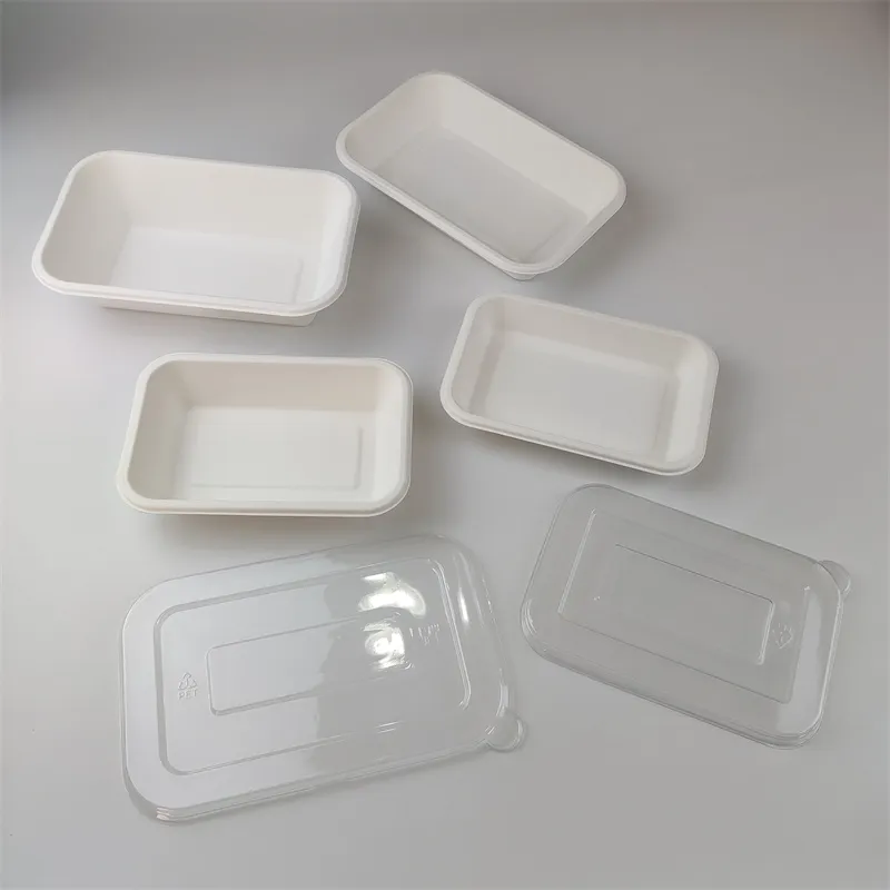 Bagasse Rectangular Container