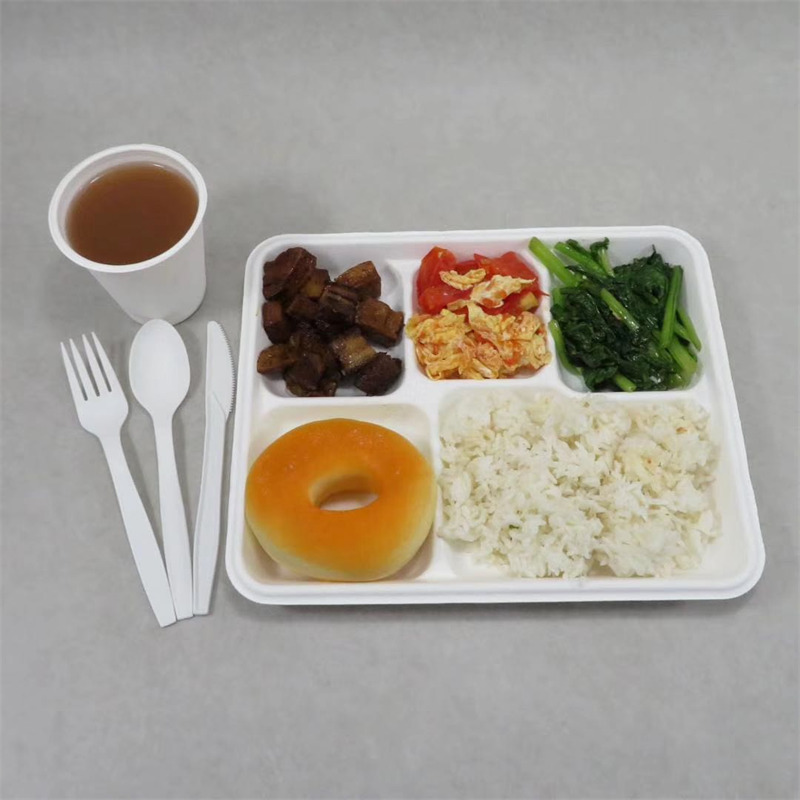 Biodegradable 5 Compartment Trays