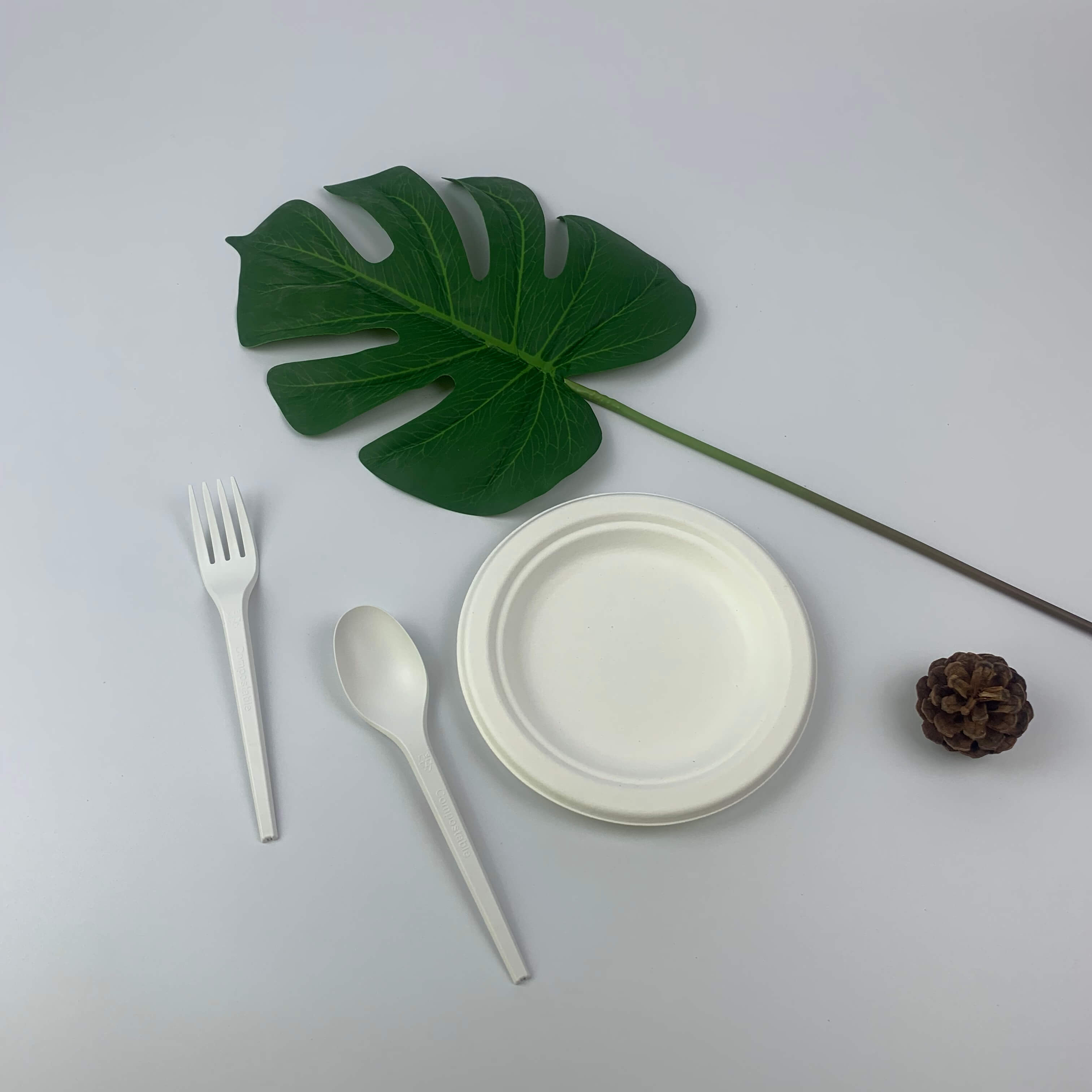 Disposable 6 inch Bagasse Pulp Plate Paper Tableware Round Plates
