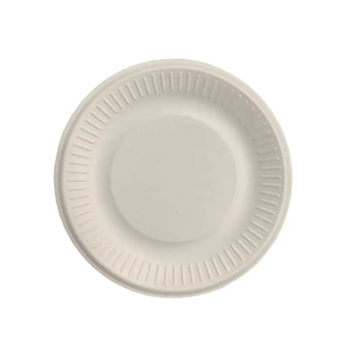 fancy compostable plates