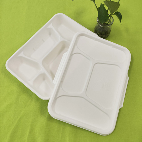 Bagasse 5 compartment tray with lid 
