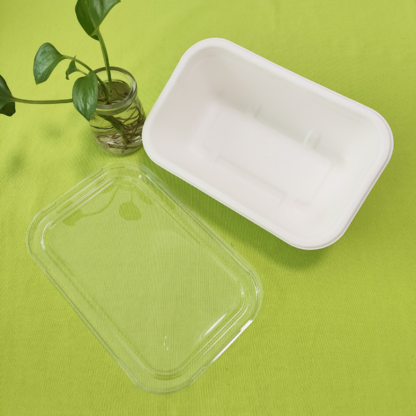 bio pulp food containers