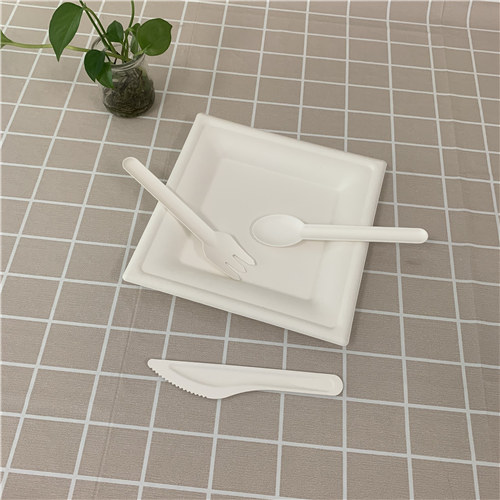 bagasse knife, fork and spoon