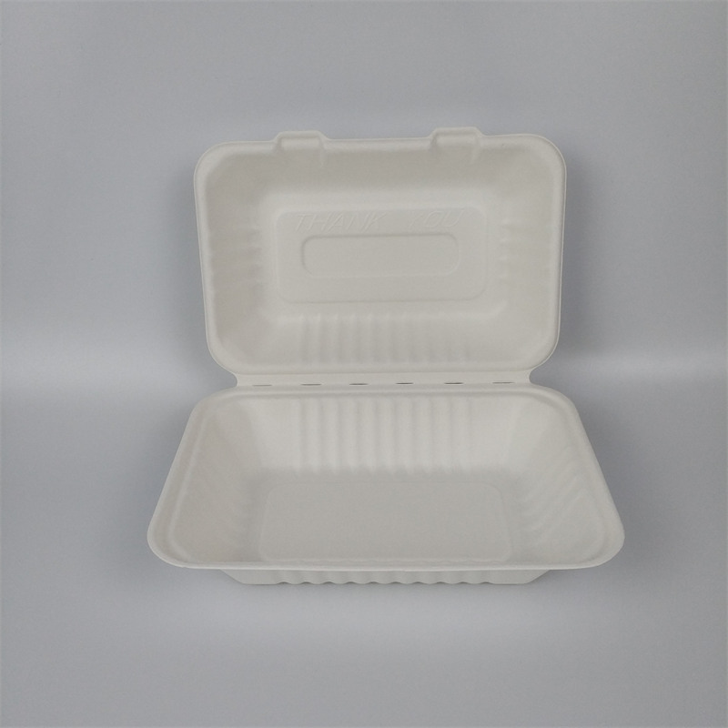Biodegradable Disposable Sugarcane Bagasse 9*6inch To Go Food Box