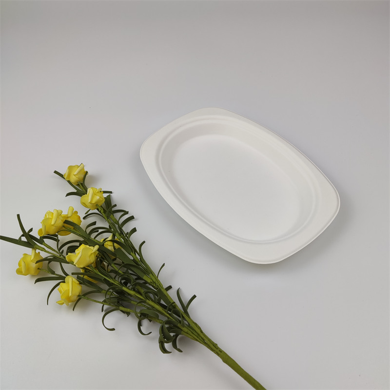 bagasse oval plate
