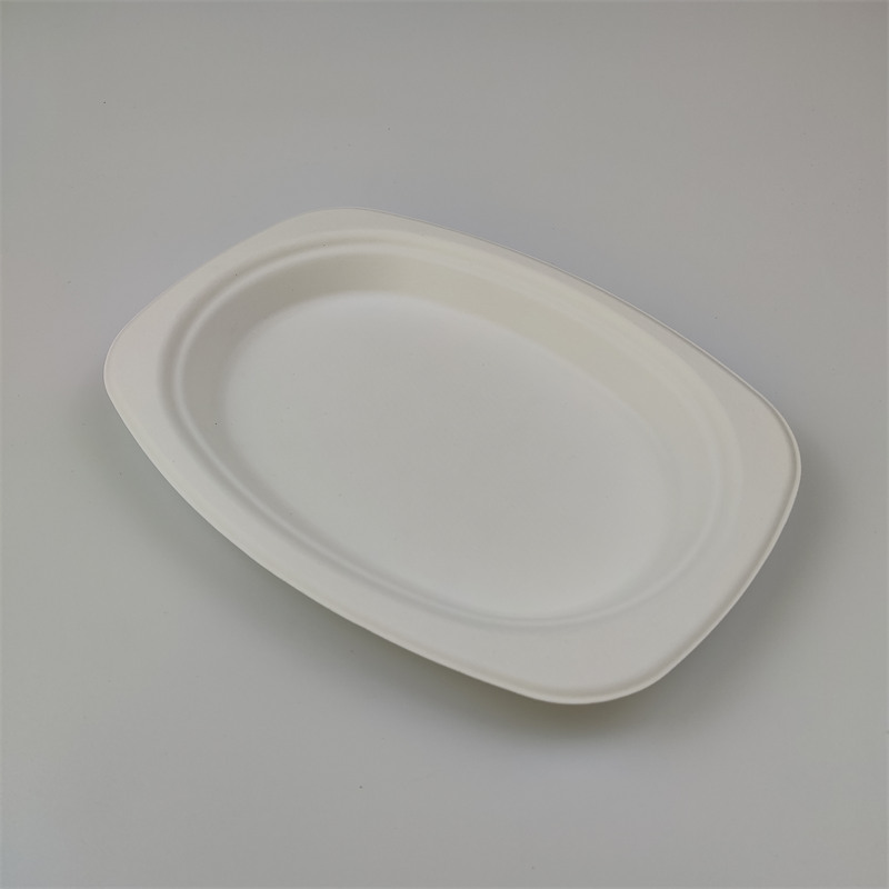 Bagasse Oval Plate 9'' x 6''