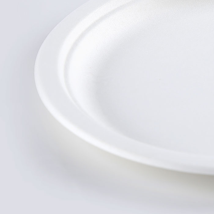 paper pulp round plate 10 inch