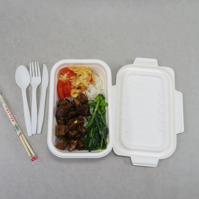1000ML Bagasse Food Container