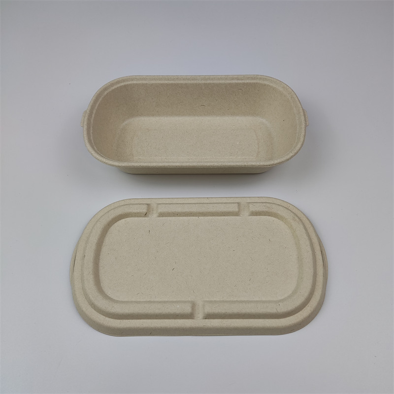 Bagasse packaging products