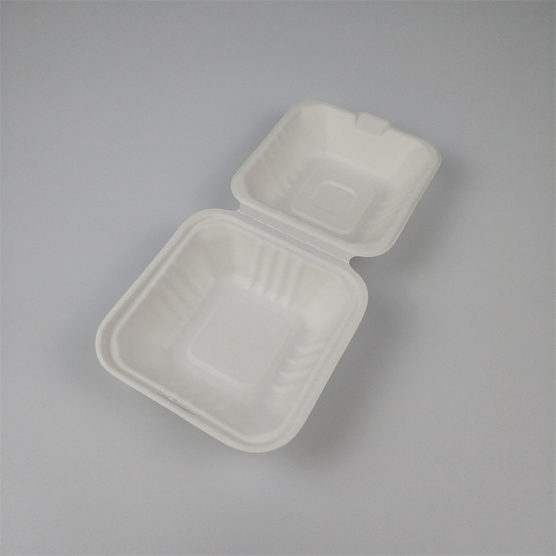 bagasse container