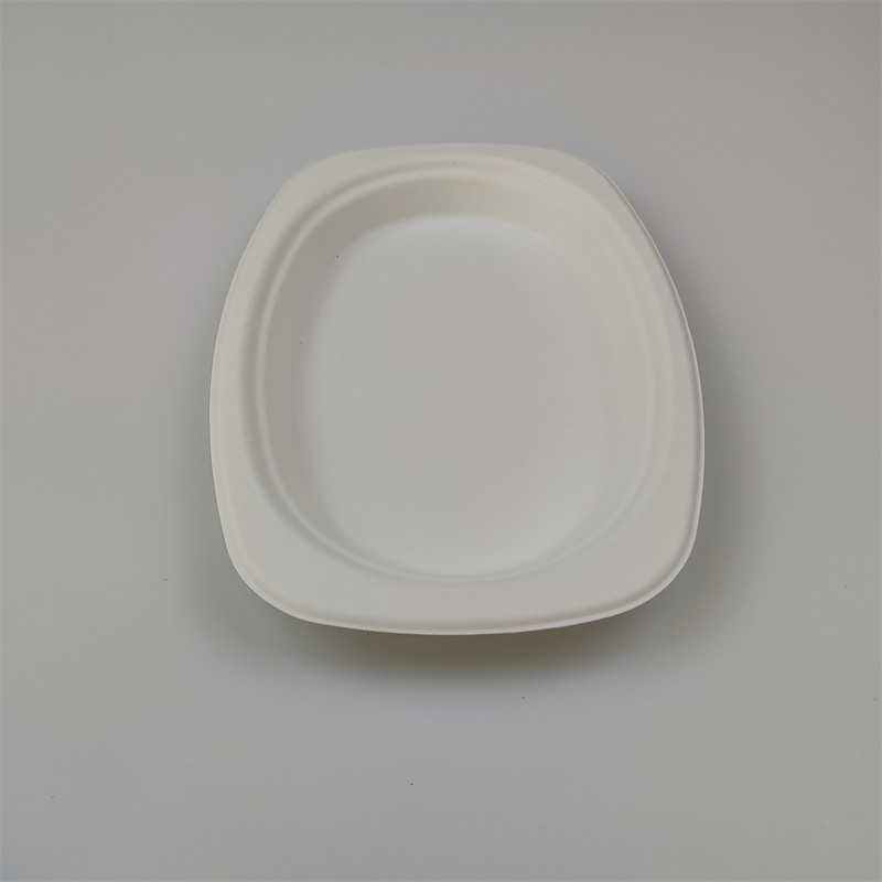 bagasse plate
