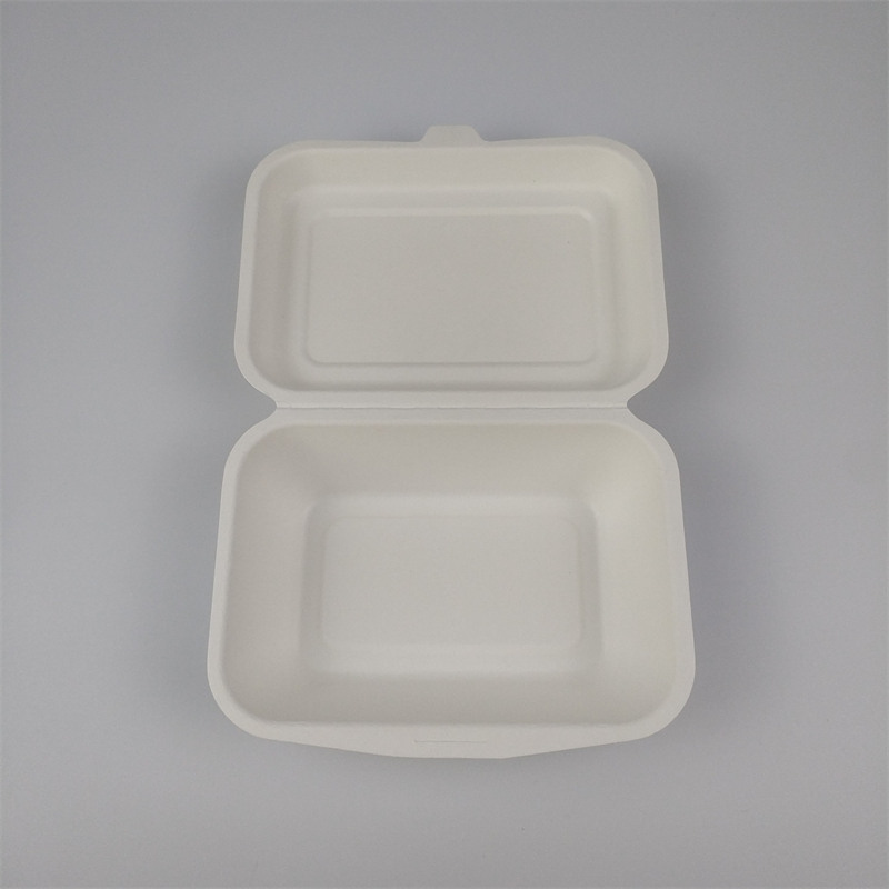 bagasse pulp container