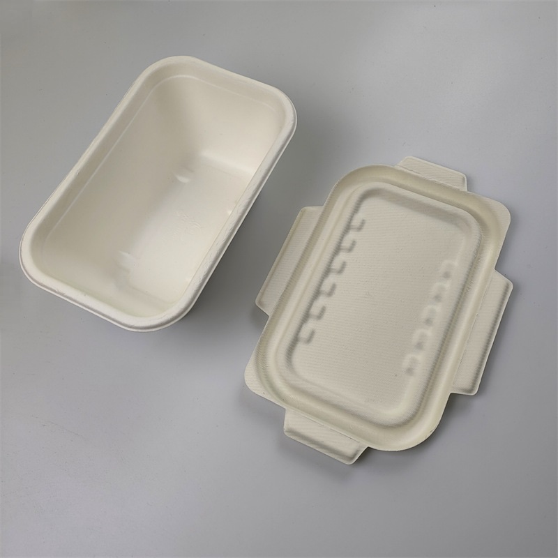1000 ml Rectangular Bagasse Container with bagasse lid