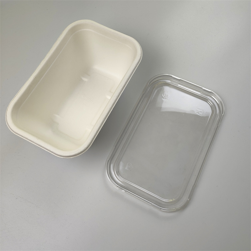 1000 ml Rectangular Bagasse Container with PET lid