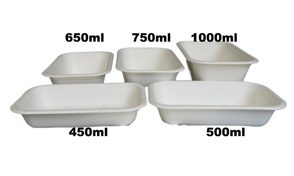 rectangular bagasse food containers